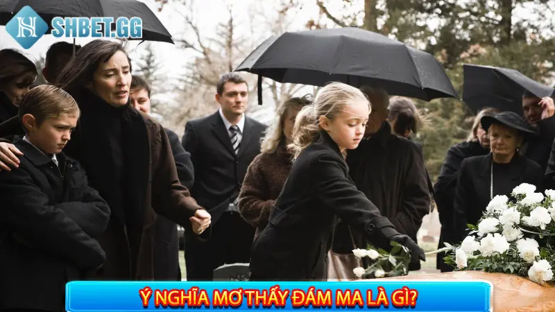 Mơ Thấy Đám Ma Là Gì? Giải Mã 8 Giấc Chiêm Bao Thường Gặp 2 Ý nghĩa mơ thấy đám ma là gì?