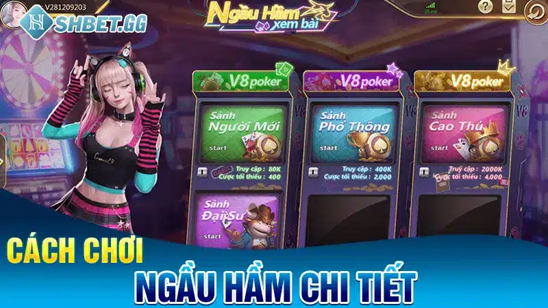 Ngầu Hầm Là Gì? Chia Sẻ Cách Cá Cược Ngầu Hầm Dễ Hiểu Nhất 3 Cách chơi ngầu hầm chi tiết