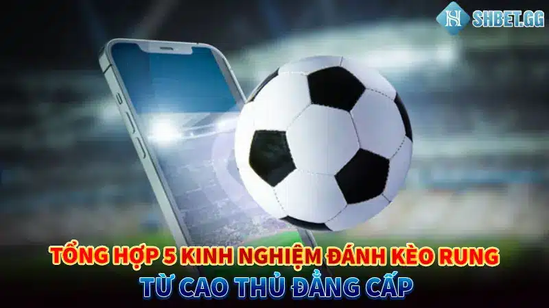 Kèo Rung Là Gì? Top 5 Kinh Nghiệm Đánh Kèo Từ Cao Thủ 4 Tổng hợp 5 kinh nghiệm đánh kèo rung từ cao thủ đẳng cấp