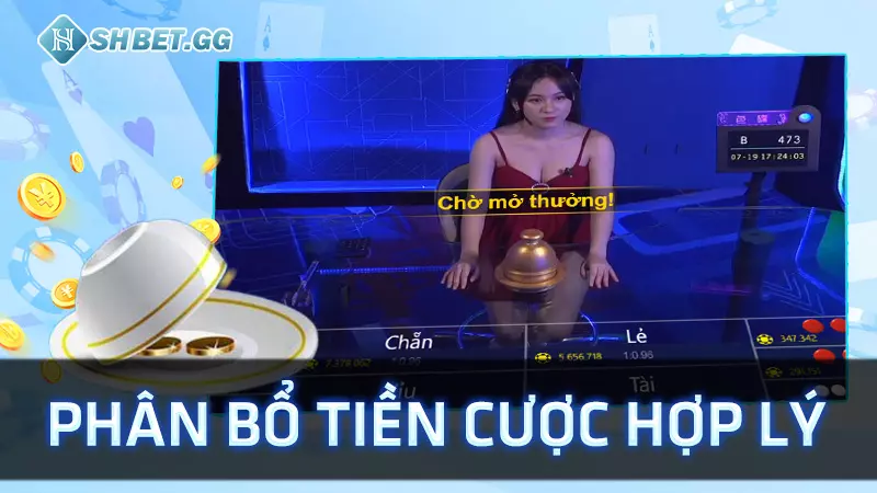 Cách chơi xóc đĩa Kubet luôn thắng dành cho tân Bet thủ 6 Phân bổ tiền cược hợp lý