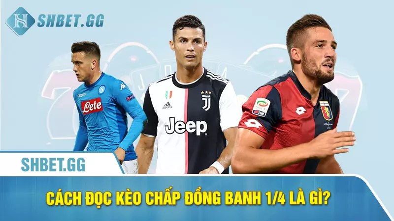 Chấp đồng banh 1/4 là gì - Cách đọc kèo 1/4 hiệu quả 3 Cách đọc kèo chấp đồng banh 1/4 là gì?