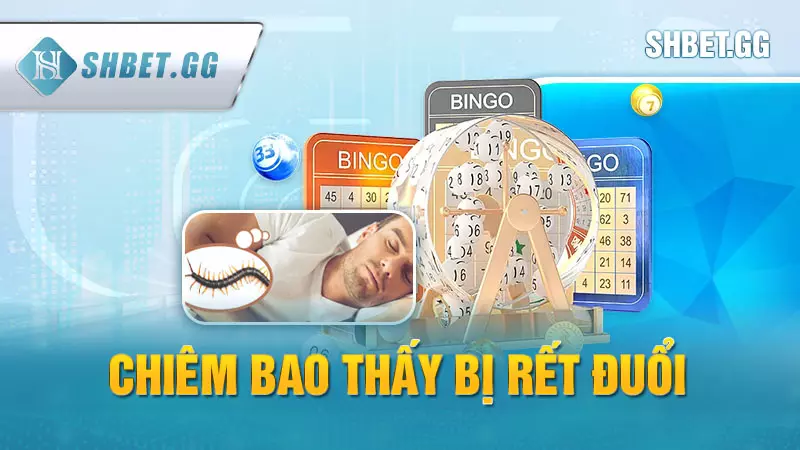 Nằm mơ thấy rết đánh số mấy - Điềm báo tốt hay xấu? 5 Chiêm bao thấy bị rết đuổi