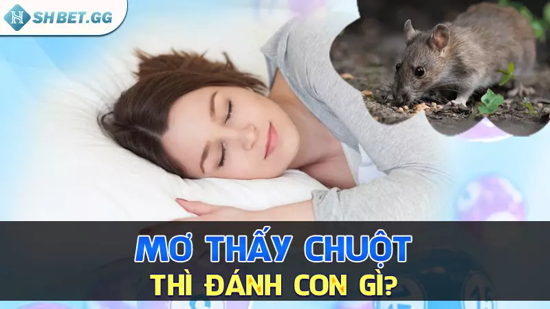 Nằm mơ thấy chuột thì đánh con gì để thu hút tài lộc? 6 Mơ thấy chuột thì đánh con gì?