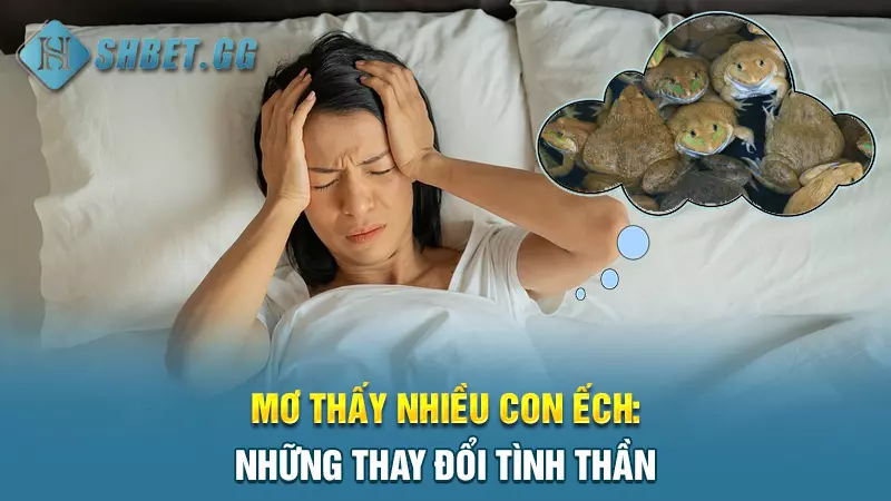 Điềm báo may mắn: Mơ con ếch đánh đề số mấy chuẩn nhất? 8 Mơ thấy nhiều con ếch: Những thay đổi tình thần