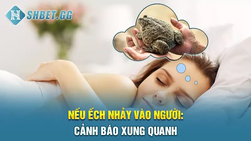 Điềm báo may mắn: Mơ con ếch đánh đề số mấy chuẩn nhất? 6 Nếu ếch nhảy vào người: Cảnh báo xung quanh