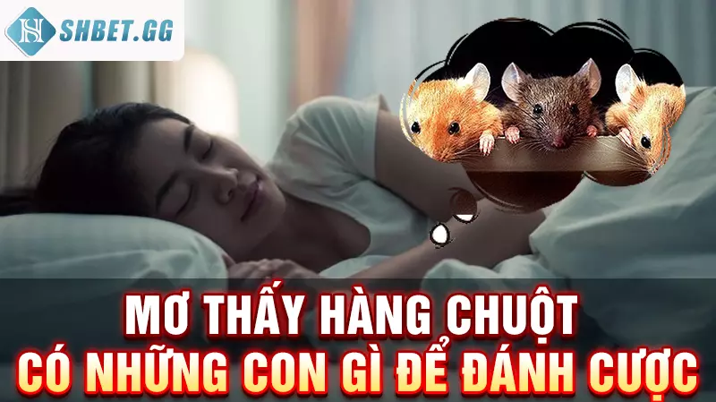 Giải mộng hàng chuột có những con gì nên đánh để thắng lớn 7 Mơ thấy hàng chuột có những con gì để đánh cược